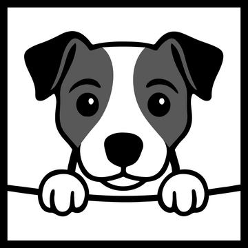 Jack Russell Terrier