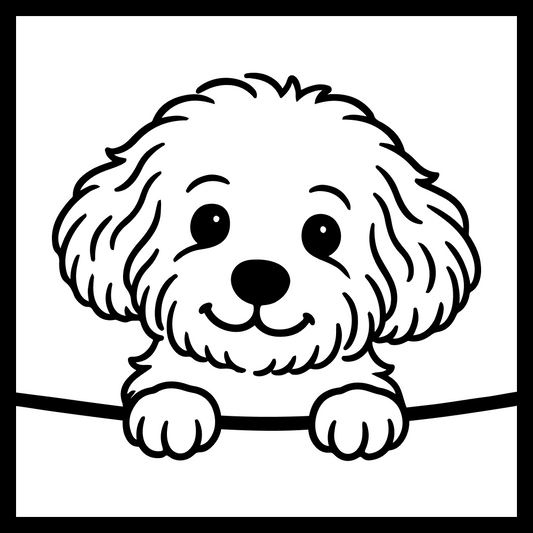 Maltipoo