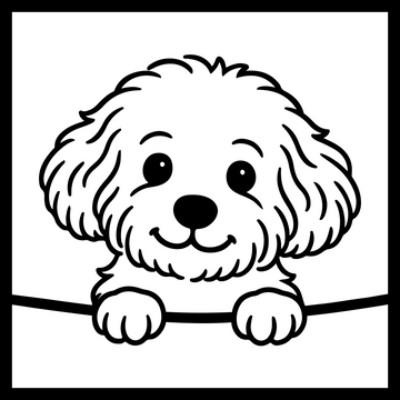Maltipoo