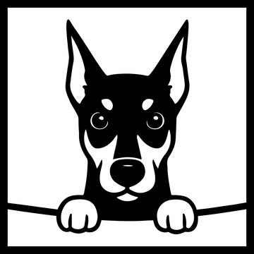 Doberman