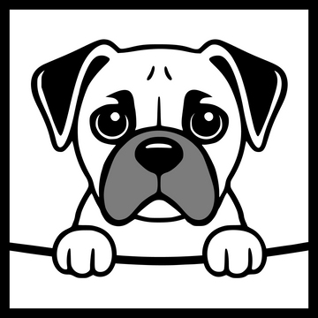 Boxer