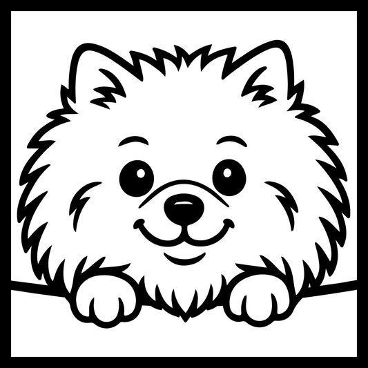 Pomeranian
