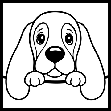 Basset Hound