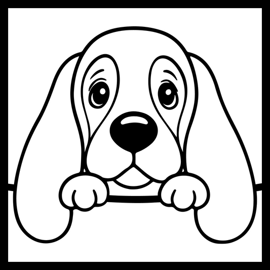 Basset Hound