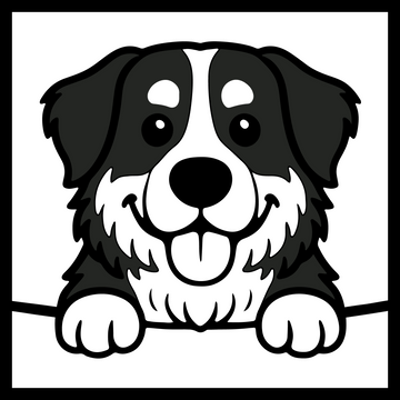 Bernese Mountain Dog