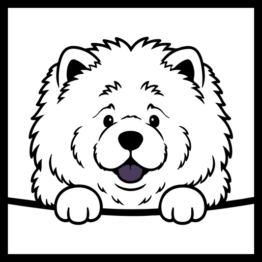 Chow Chow