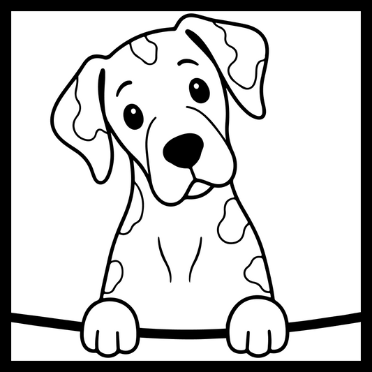 Great Dane (Harlequin)