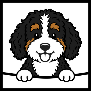 Bernedoodle