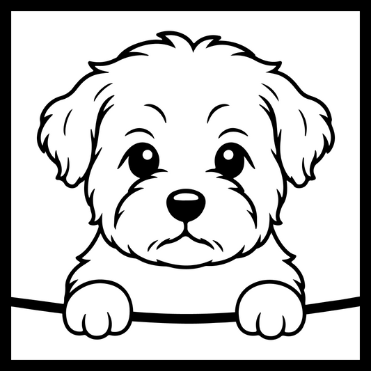 Shorkie
