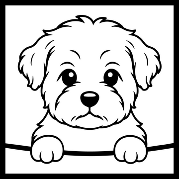 Shorkie