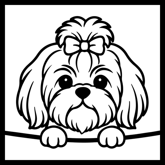 Shih Tzu (Top Knot)